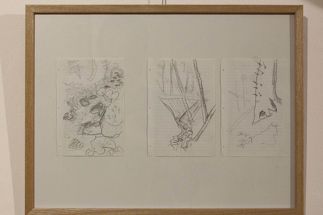 Pencil drawings of the forest stream.