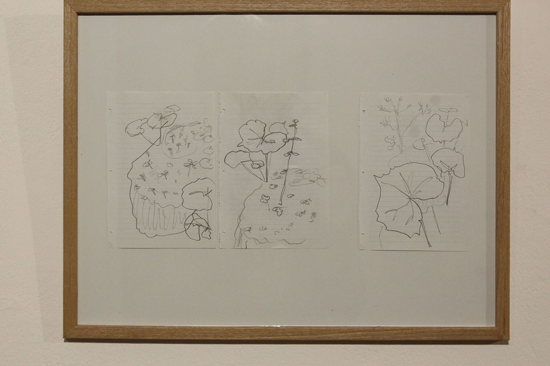 Pencil drawings of the forest stream.