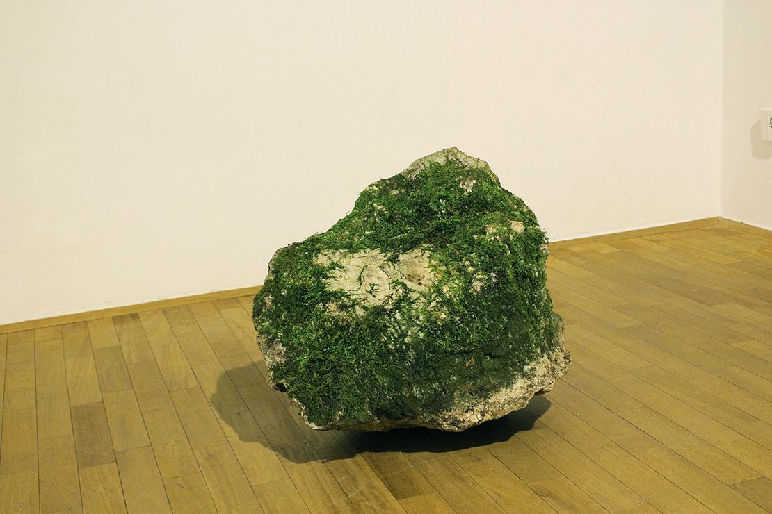 Rock with green moss, front (Katja Oblak & Julij Borštnik).