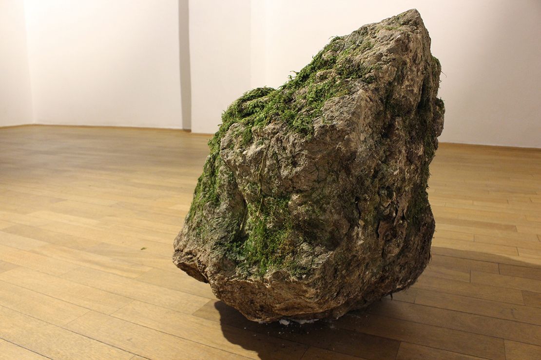 Rock with green moss, side (Katja Oblak & Julij Borštnik).