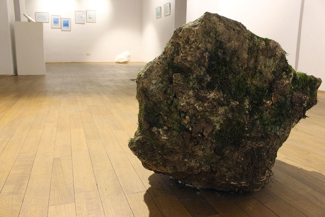 Rock with green moss, rear (Katja Oblak & Julij Borštnik).