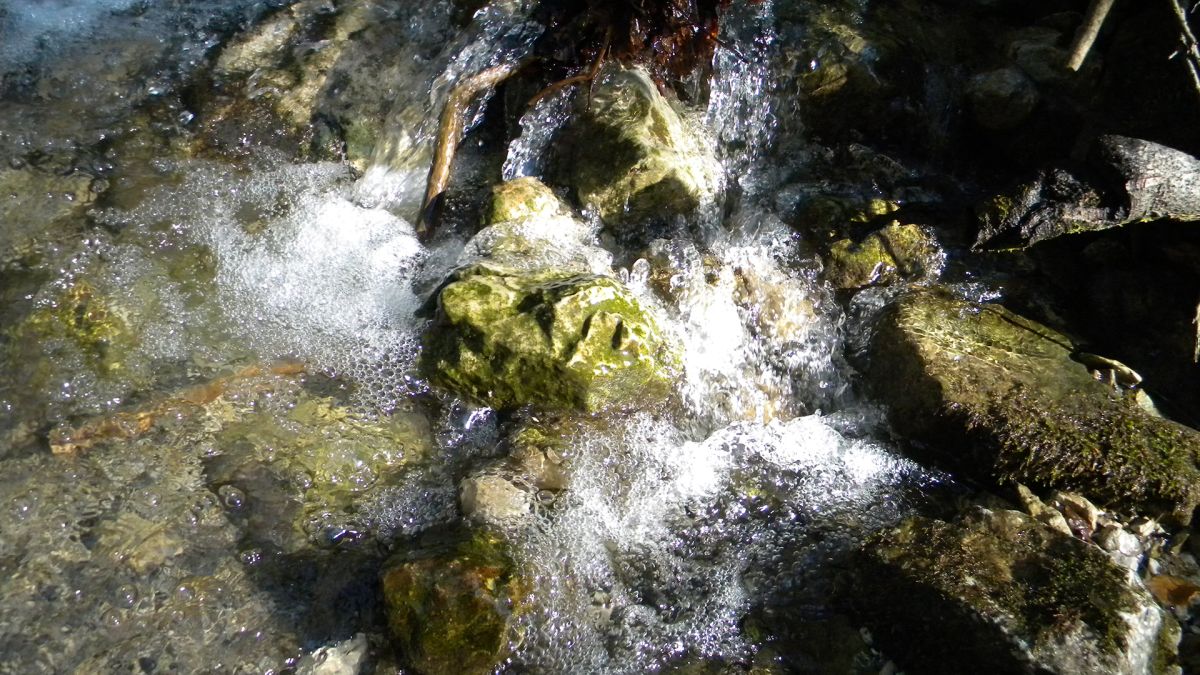 Forest stream rapids, 3.