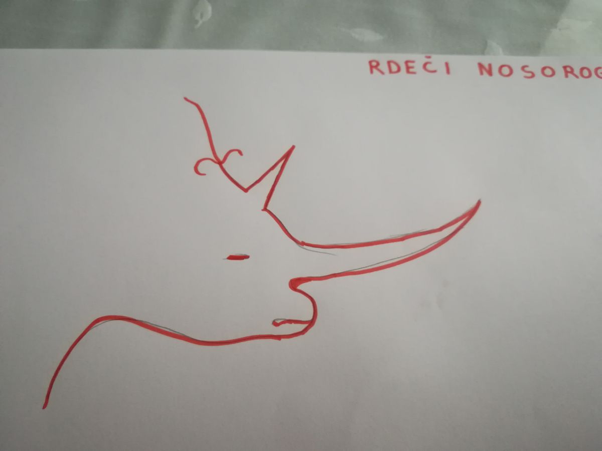 Red rhinoceros, chamber 5.